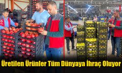 Üretilen Ürünler Tüm Dünyaya İhraç Oluyor