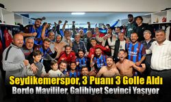 Seydikemerspor, 3 Puanı 3 Golle Aldı