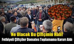 Fethiyeli Çiftçiler Domates Toplamama Kararı Aldı