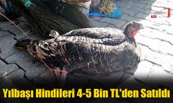 Yılbaşı Hindileri 4-5 Bin TL'den Satıldı