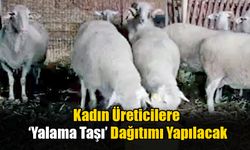 Kadın Üreticilere ‘Yalama Taşı’ Dağıtımı Yapılacak