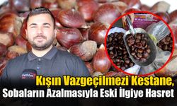 Kışın Vazgeçilmezi Kestane, Sobaların Azalmasıyla Eski İlgiye Hasret