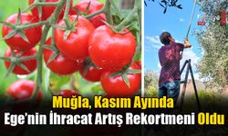 Muğla, Kasım Ayında Ege’nin İhracat Artış Rekortmeni Oldu