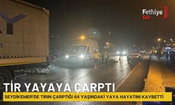 TIR YAYAYA ÇARPTI : 1 ÖLÜ