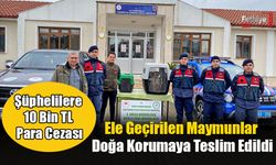 Ele Geçirilen Maymunlar Doğa Korumaya Teslim Edildi