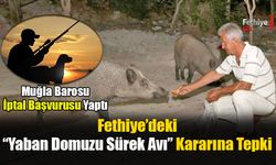 Fethiye’deki “Yaban Domuzu Sürek Avı” Kararına Tepki