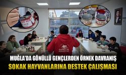 Gönüllü Gençlerden Örnek Davranış