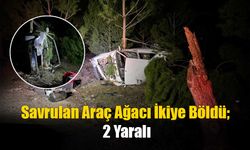 Savrulan Araç Ağacı İkiye Böldü; 2 Yaralı