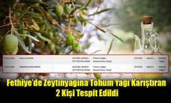 Fethiye’de Zeytinyağına Tohum Yağı Karıştıran 2 Kişi Tespit Edildi