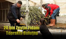 Muğla’da 20 bin Zeytin Fidanı Toprakla Buluştu