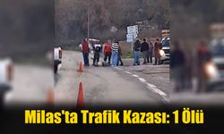 Milas'ta Trafik Kazası: 1 Ölü