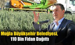 Muğla Büyükşehir Belediyesi, 110 Bin Fidan Dağıttı