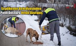 Seydikemer Belediyesinden Patili Dostlara Vefalı Davranış