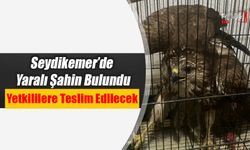 Seydikemer’de Yaralı Şahin Bulundu