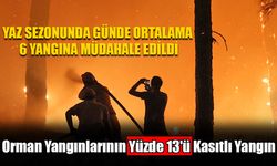 Orman Yangınlarının Yüzde 13'ü Kasıtlı Yangın