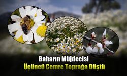 Baharın Müjdecisi Üçüncü Cemre Toprağa Düştü
