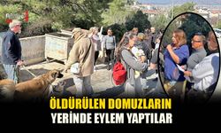 Öldürülen Domuzların Yerinde Eylem Yaptılar