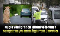 Muğla Valiliği’nden Turizm Sezonunda Sahipsiz Hayvanlarla İlgili Yeni Önlemler