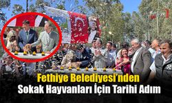 Fethiye Belediyesi’nden Sokak Hayvanları İçin Tarihi Adım