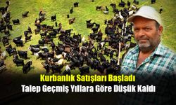 Kurbanlık Satışları Başladı, Talep Geçmiş Yıllara Göre Düşük Kaldı