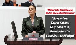 Milletvekili Özcan: ''Muğla’daki Belediyelere Neden Destek Sağlanmıyor?''