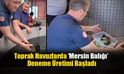 Toprak Havuzlarda ‘Mersin Balığı’ Deneme Üretimi Başladı
