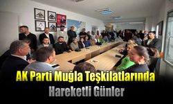 AK Parti Muğla Teşkilatlarında Hareketli Günler