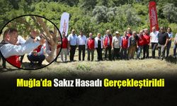 Muğla’da Sakız Hasadı Gerçekleştirildi