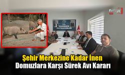 Şehir Merkezine Kadar İnen Domuzlara Karşı Sürek Avı Kararı