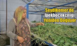 Seydikemer’de İpekböcekçiliği Yeniden Doğuyor