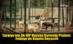 Türkiye’nin İlk VİP’i Hayvan Barınağı Projesi, Fethiye’de Hayata Geçecek