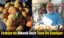 Fethiye’de Dikenli İncir Tane İle Satılıyor