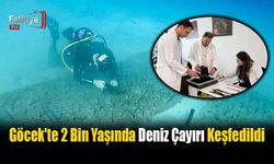Göcek'te 2 Bin Yaşında Deniz Çayırı Keşfedildi