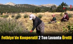 Fethiye'de Kooperatif 2 Ton Lavanta Üretti