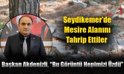 Seydikemer’de Mesire Alanını Tahrip Ettiler