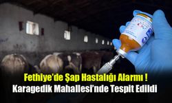 Fethiye’de Şap Hastalığı Alarmı !