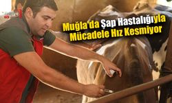 Şap Hastalığıyla Mücadele Hız Kesmiyor