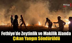 Fethiye’de Zeytinlik ve Makilik Alanda Çıkan Yangın Söndürüldü