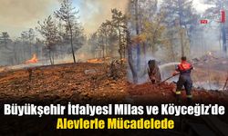 Büyükşehir İtfaiyesi Milas ve Köyceğiz’de Alevlerle Mücadelede