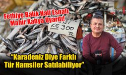 Fethiye Balık Hali Esnafı Mahir Kahya Uyardı!