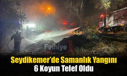 Seydikemer’de Samanlık Yangını: 6 Koyun Telef Oldu
