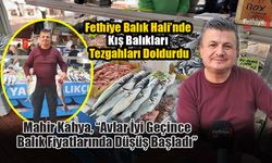 Fethiye Balık Hali’nde Kış Balıkları Tezgahları Doldurdu