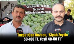 Fethiye’de Zeytin Hasadı Başladı