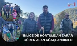 İnlice’de Hortumdan Zarar Gören Alan Ağaçlandırıldı