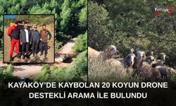 Kayaköy’de Kaybolan 20 Koyun Drone Destekli Arama İle Bulundu