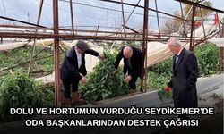 Dolu Ve Hortumun Vurduğu Seydikemer’de Oda Başkanlarından Destek Çağrısı