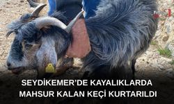 Seydikemer’de Kayalıklarda Mahsur Kalan Keçi Kurtarıldı