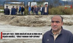 Eşen Çayı Taştı, Tarım Arazileri Sular Altında Kaldı