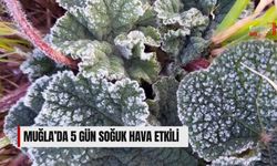 Muğla’da 5 Gün Soğuk Hava Etkili