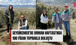 Seydikemer’de Orman Haftası’nda 100 Fidan Toprakla Buluştu